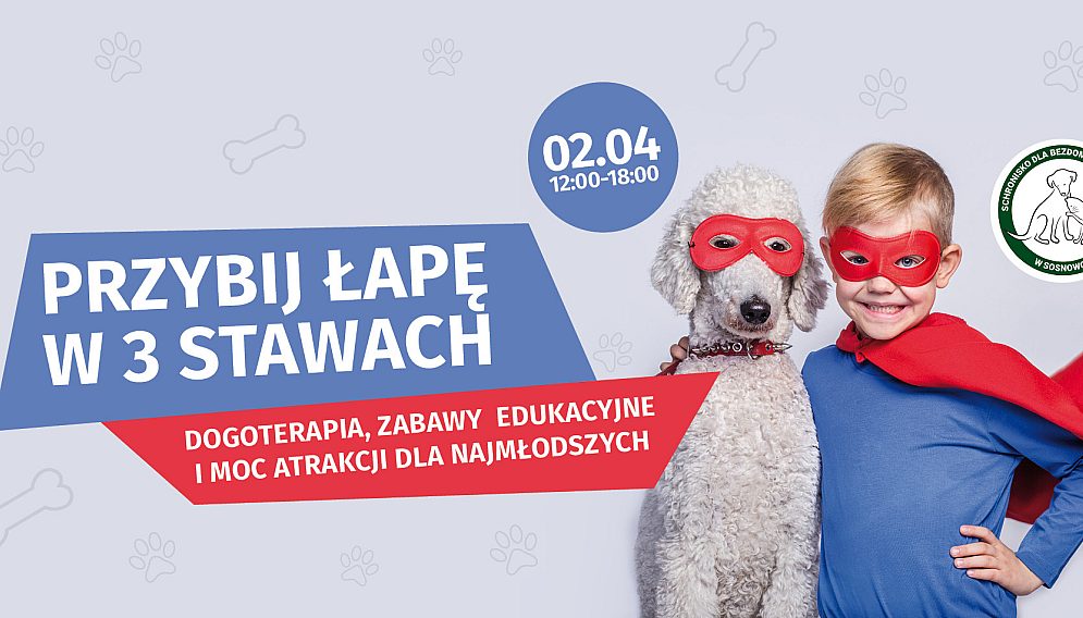 Przybij lape w 3 Stawach 2