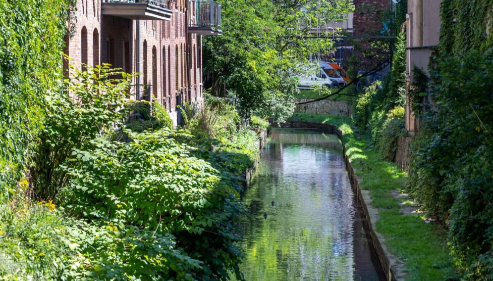 Rawa przy katowickim Rynku