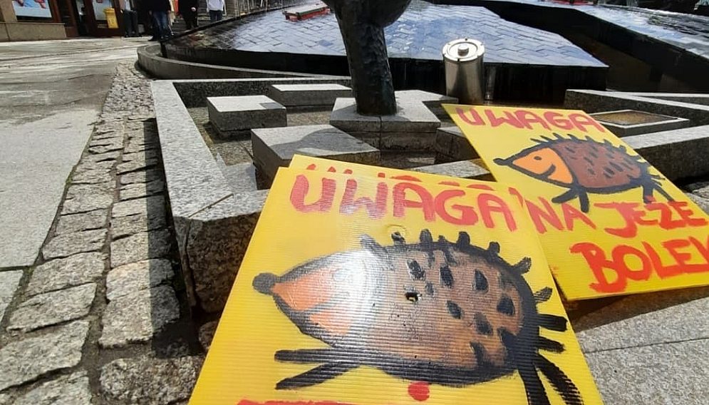 Uwaga jeze fot S Piskorz 2