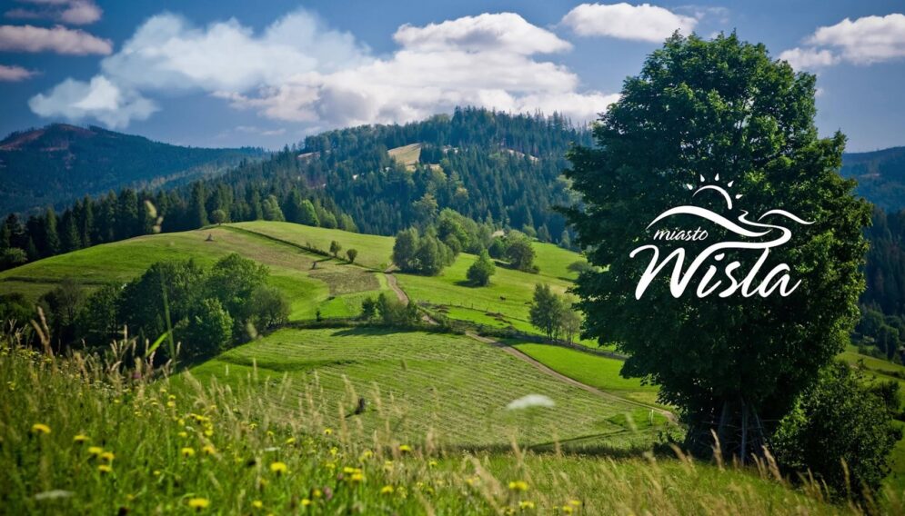Wisla miasto