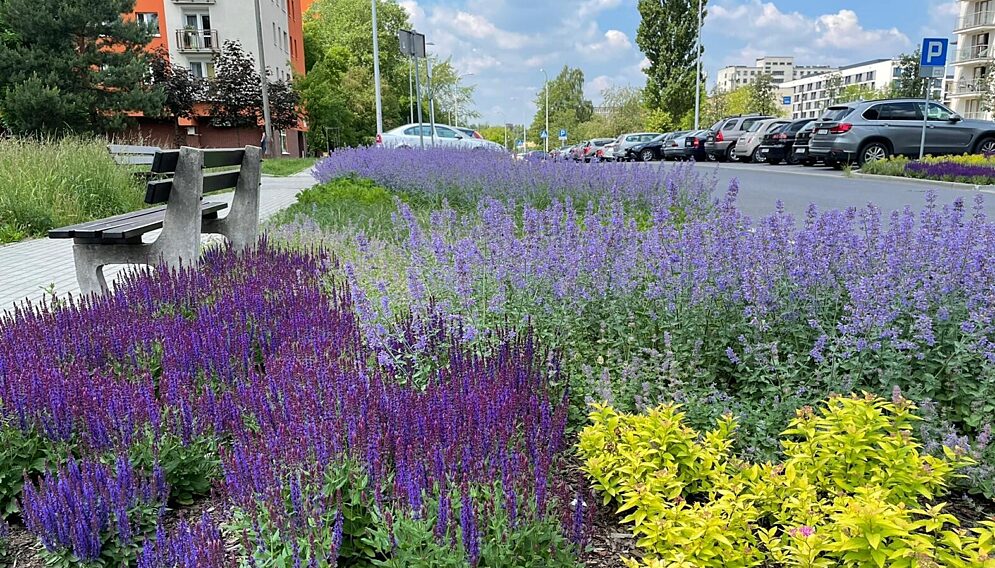 Zielony Budżet Katowice 2025