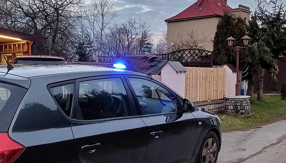 Agresywny pies tarnowskie gory