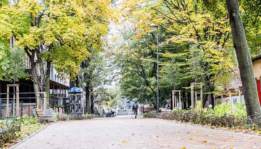 Aleja przyjazni fot mbuksa 8391 easy resize com 0