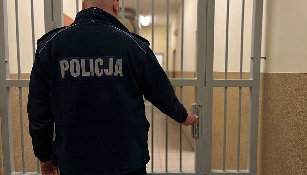 Aresztowanie oprawcy domowego