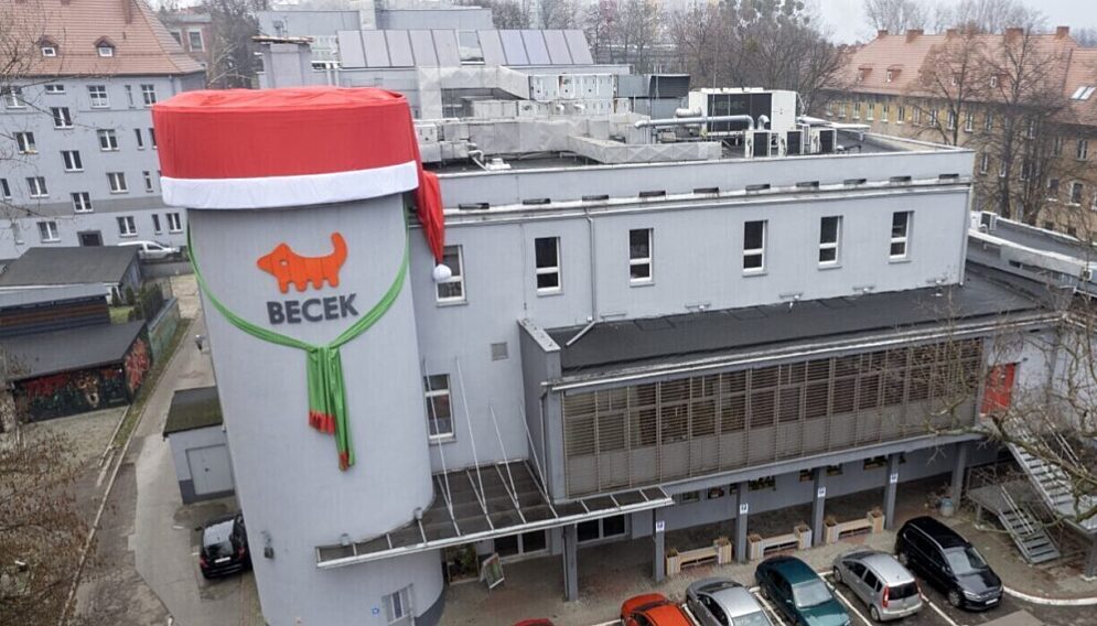 Becek czapka mikolaja