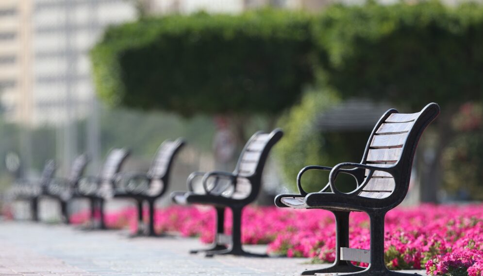 Bench 5017748 1920