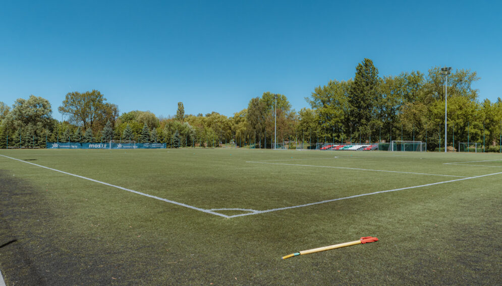 Boisko sosnowiec