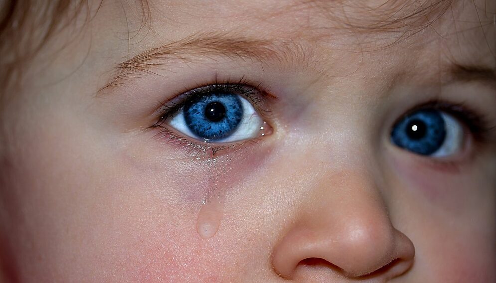 Childrens eyes 1914519 1920