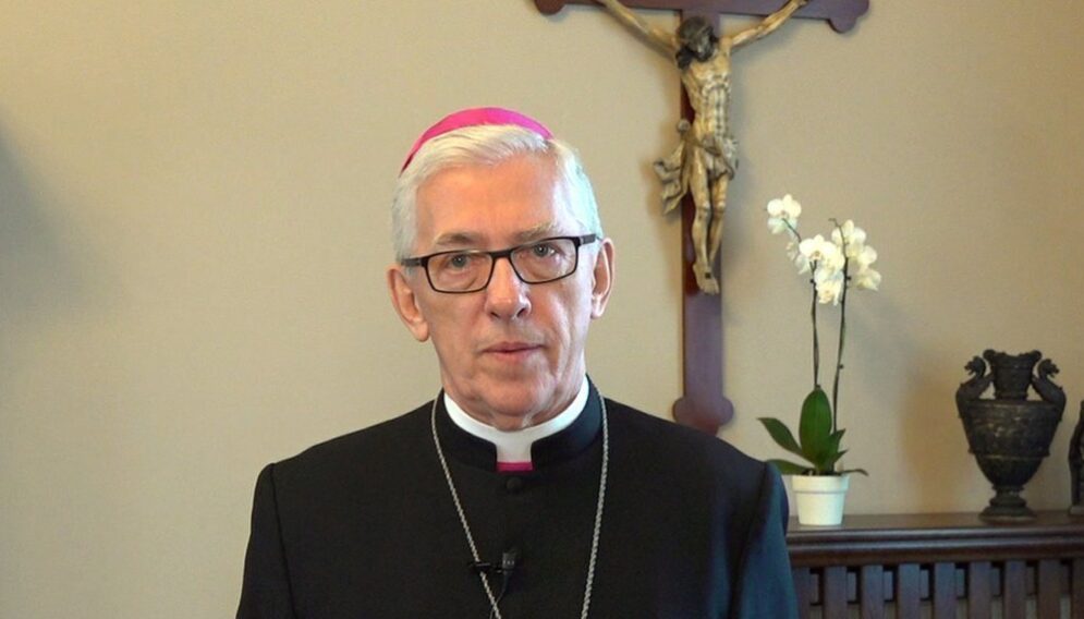 Csm csm csm abp dsz 2ee84596ec 2 0599b46d92 4f2e8dad7d