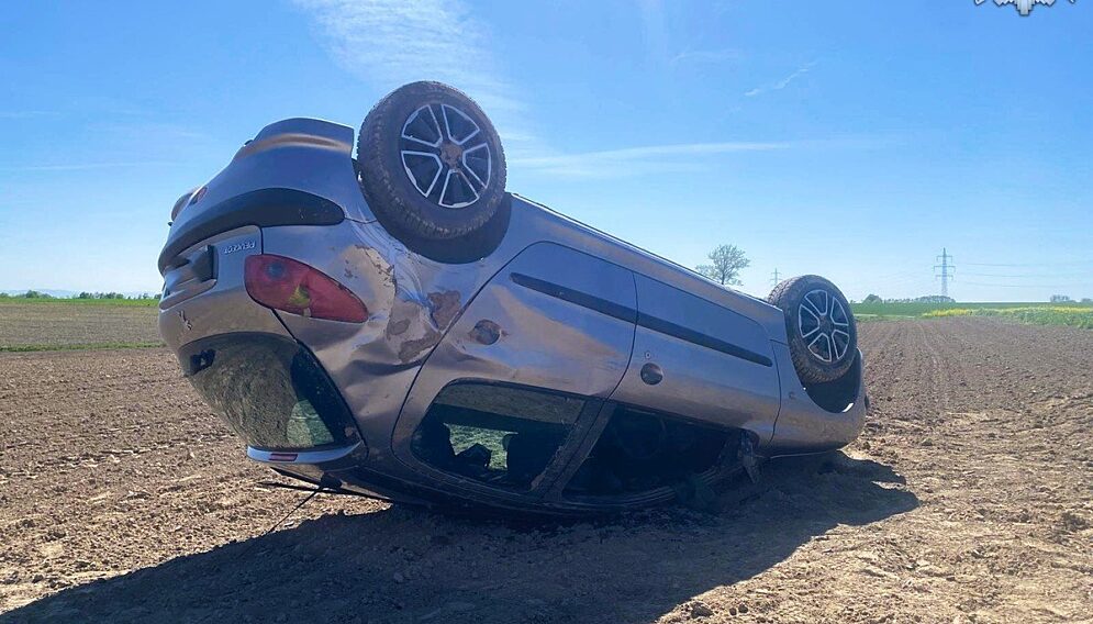 Dachowanie w studzionce