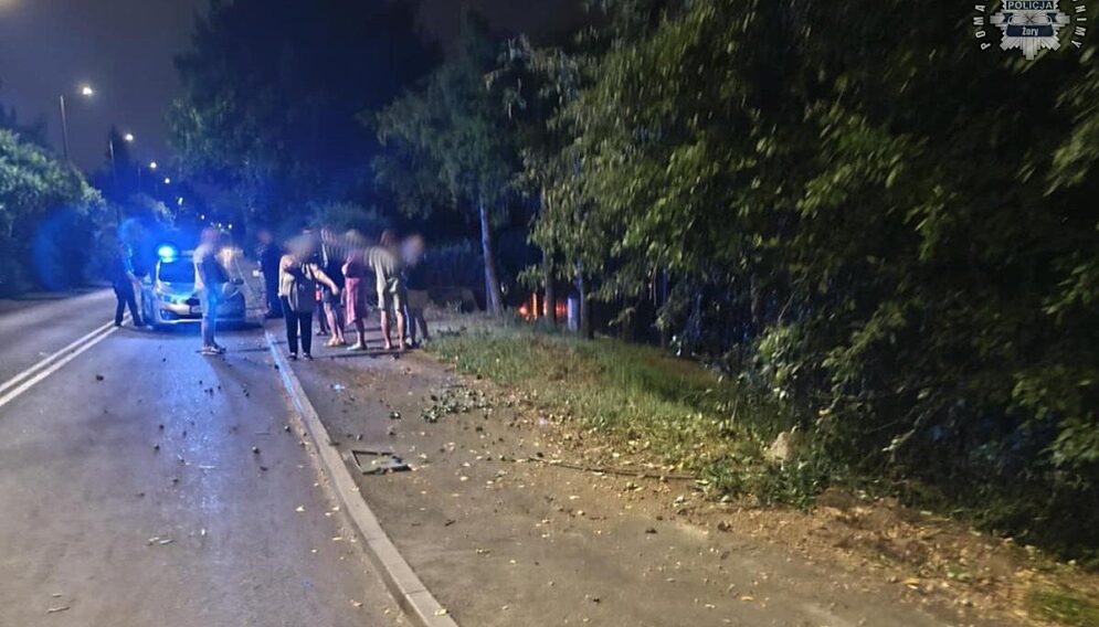 Dachowanie w żorach