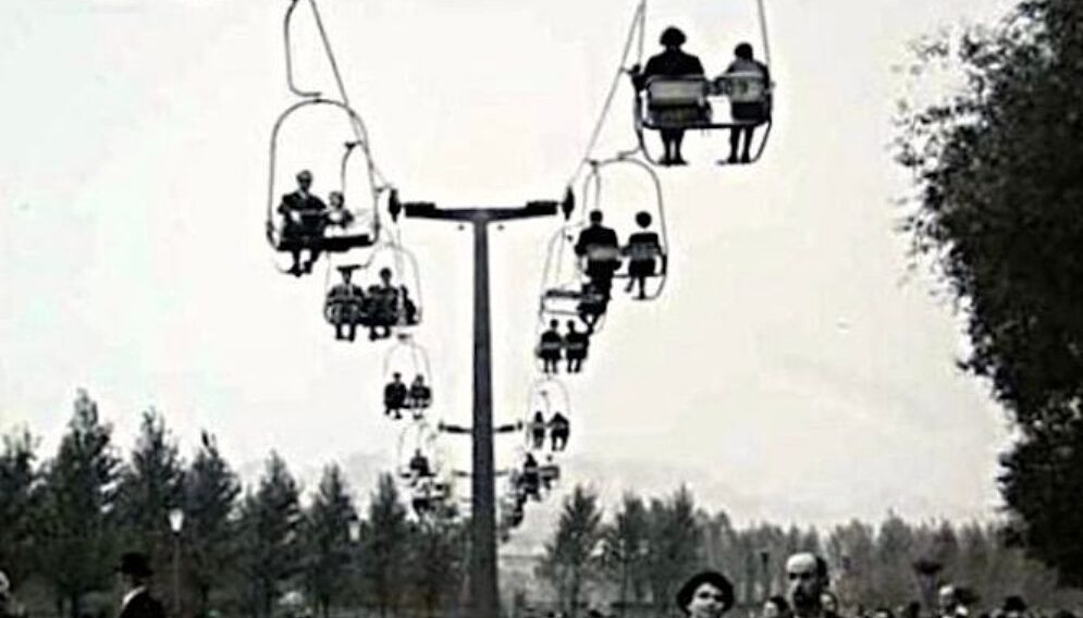 Dawna elka w parku slaskim