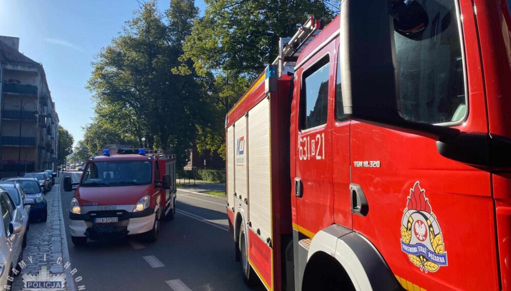 Dbf61c33 438a 41f4 9c4f b674f967e8e5