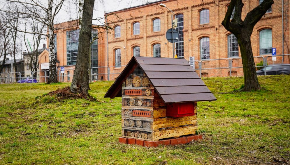 Domki dla owadów