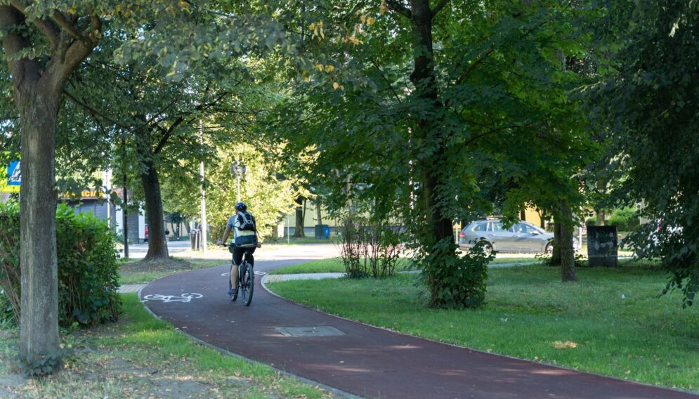 Drogi rowerowe w katowicach