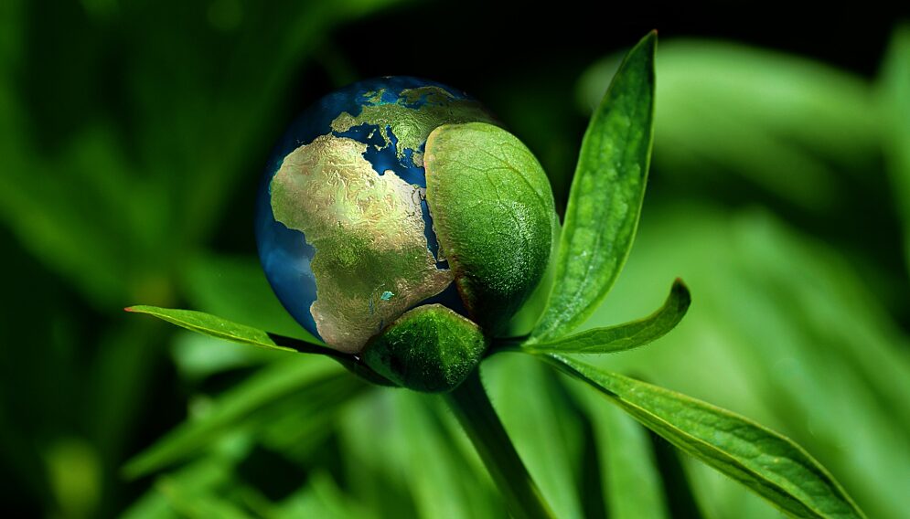 Ecology g581803793 1920