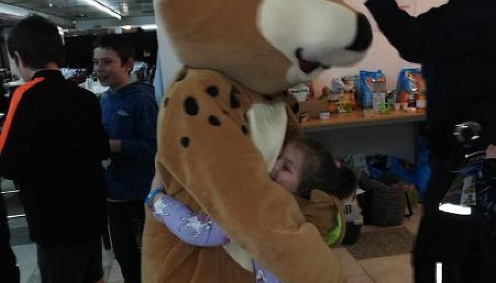 Efewcwqcqwcq