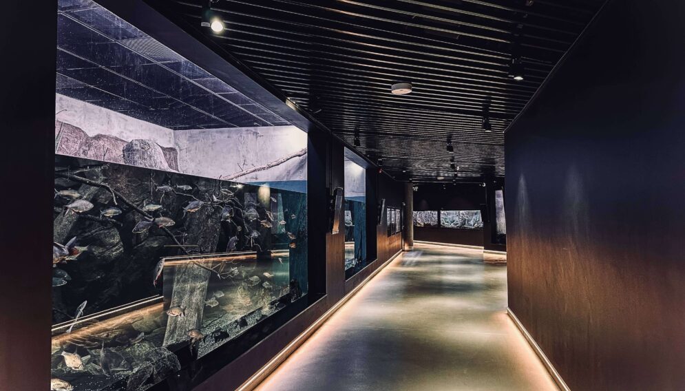 Egzotarium straszny weekend 1