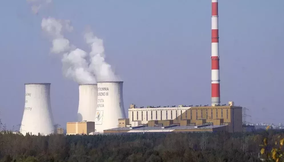 Elektrownia jaworzno martwe koty