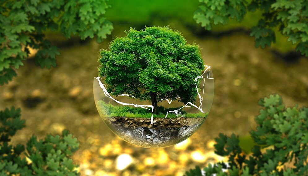 Environmental protection 326923 1920