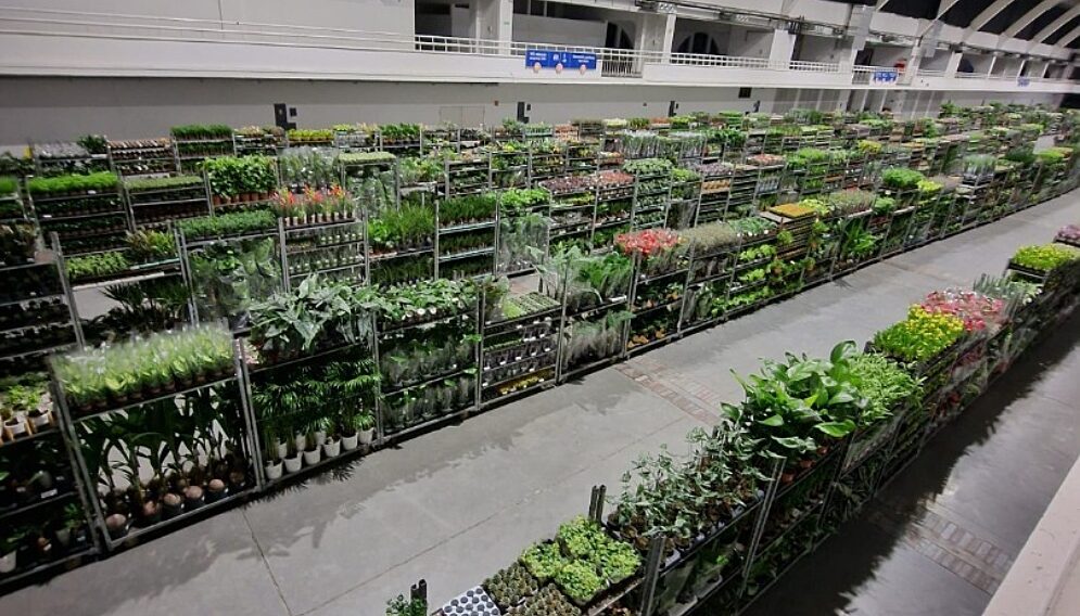 Festiwal roslin w katowicach