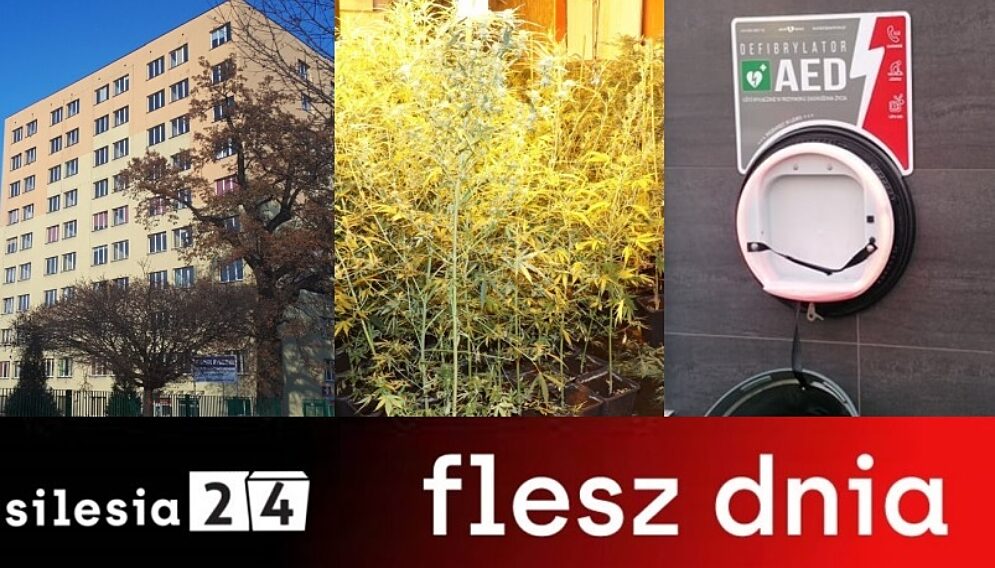 Flesz dnia 4 listopada 2021