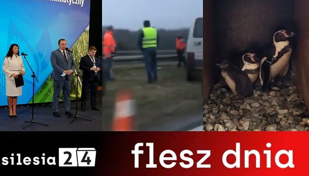 Flesz dnia silesia 22 listopada 2021