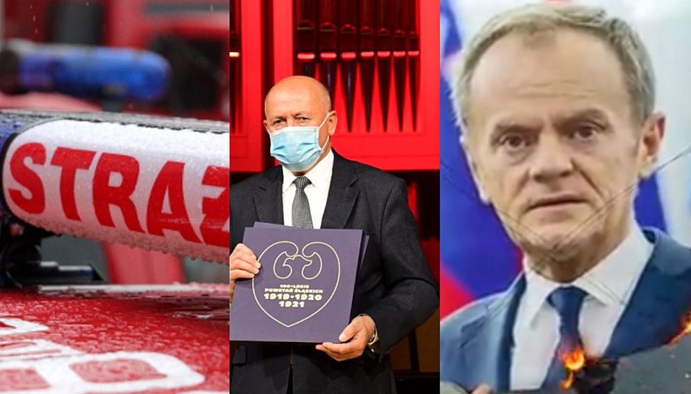Fleszik12listopada