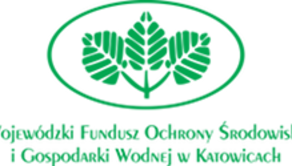 Footer logo 2