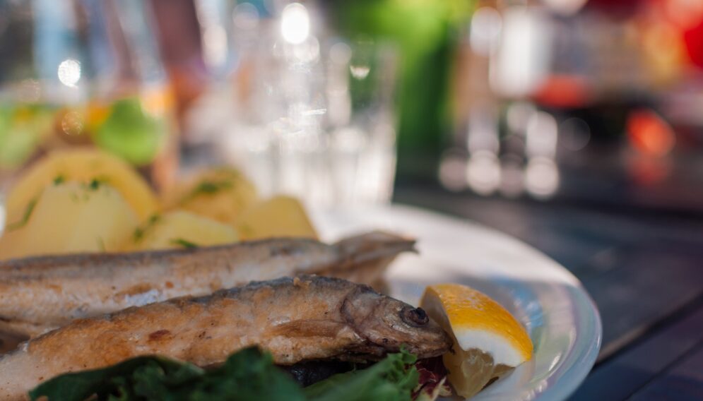Fried fish 4366209 1920