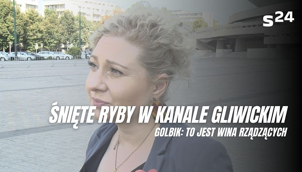 Golbikmini