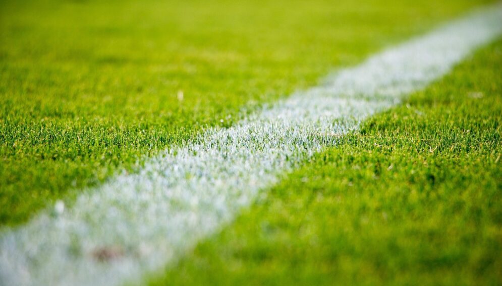 Grass 2616911 1920