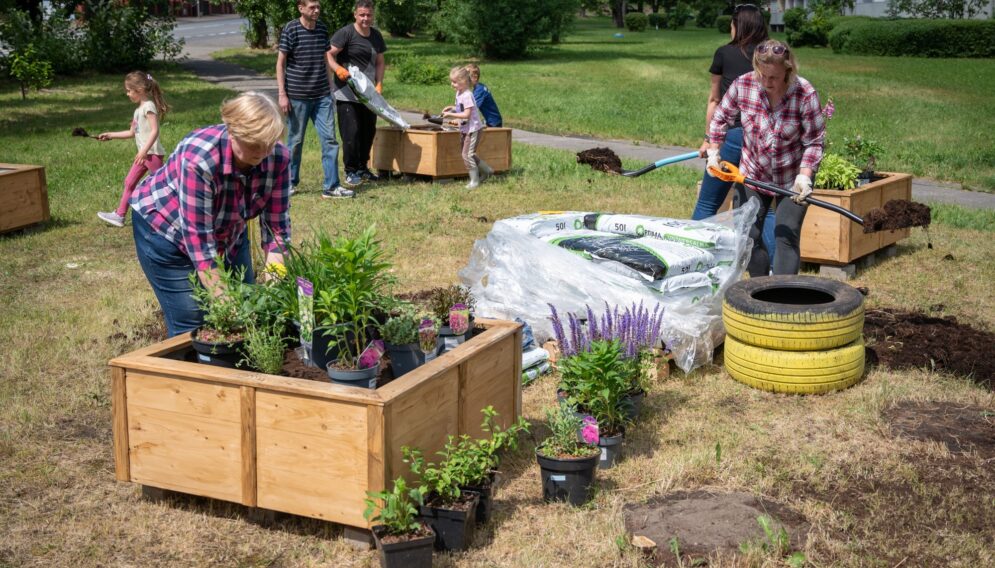 Inicjatywa lokalna katowice