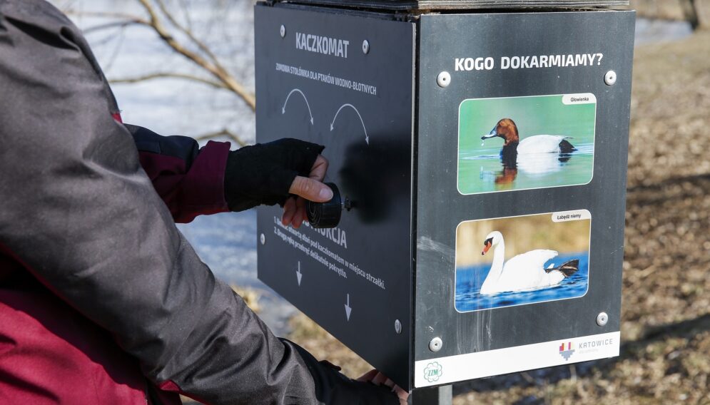 Jak pomagac dzikim zwierzetom zimą
