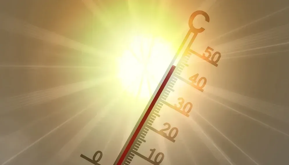 Jak przetrwac upały