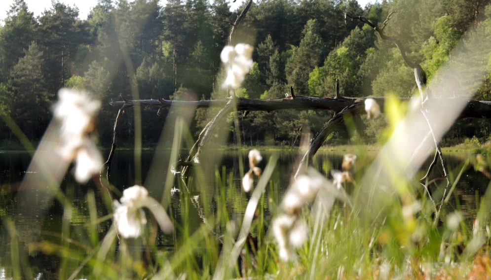 mazury zachodnie atrakcje 2024