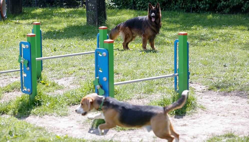 Katowicki budżet obywatelski 2025