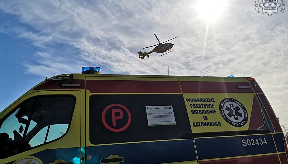 Konar przygniotl chlopca