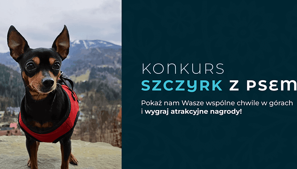Konkurs szczyrk z psem