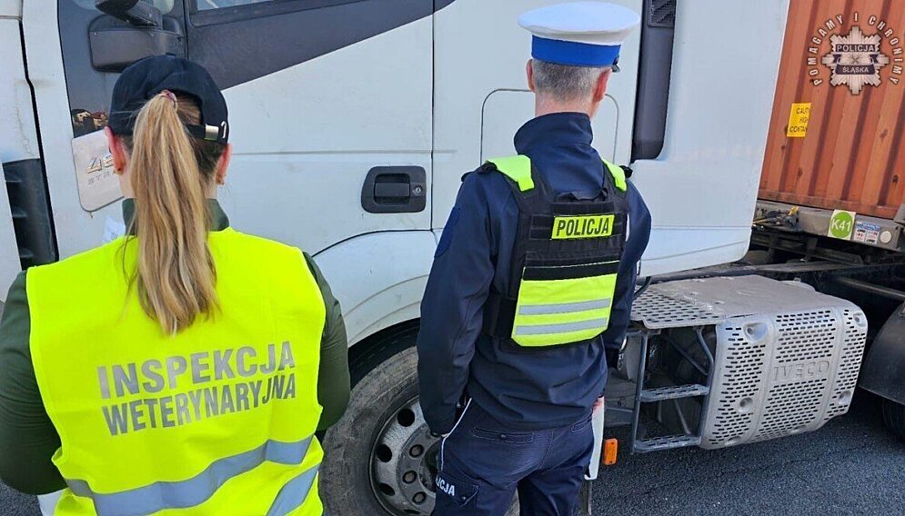 Kontrole na granicy polsko czeskiej