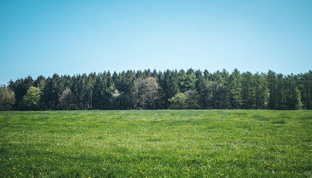 Kupno dzialki co sprawdzic