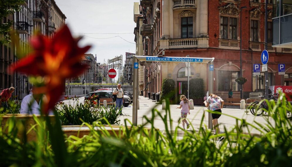 Kurtyny wodne w katowicach