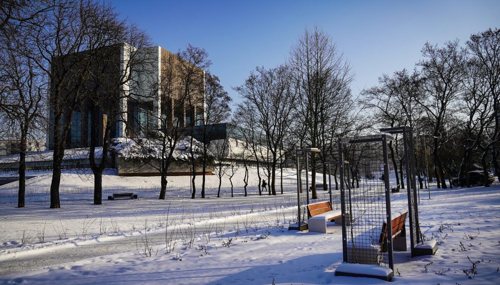 Lawendowa czytelnia w katowicach