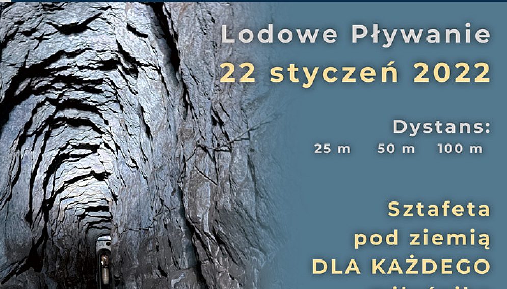 Lodowe srebro plakat