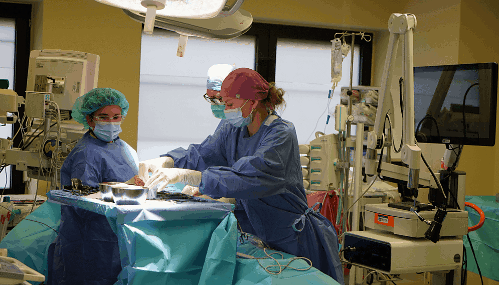 Masektomia endoskopowa