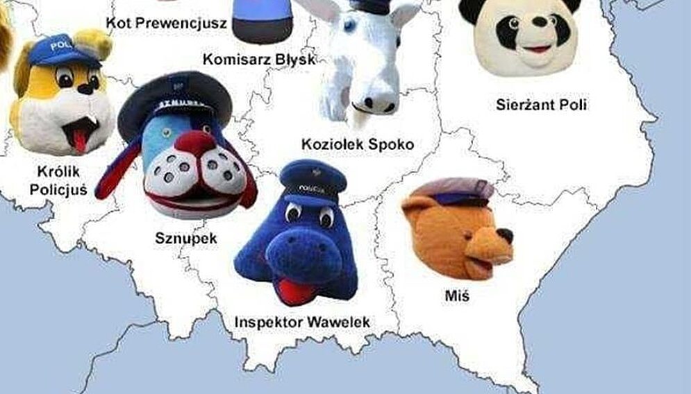 Mastkoki policji wojewodzkie