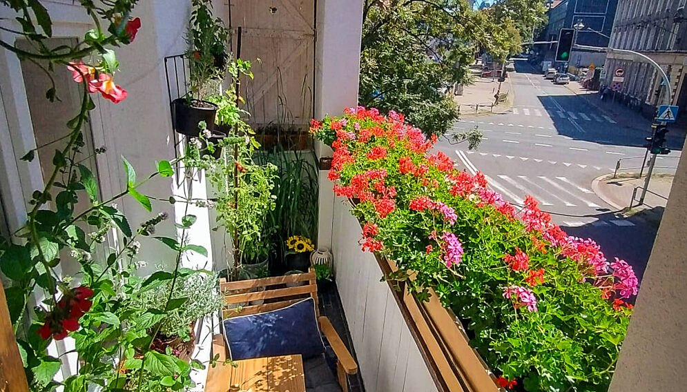Najpiekniejszy katowicki balkon konkurs