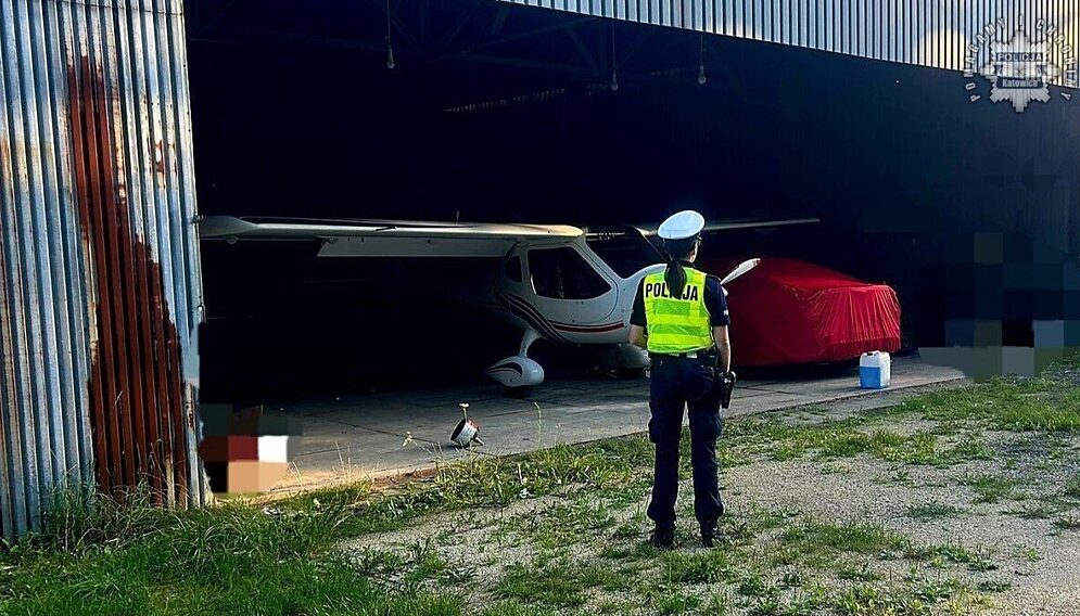 Nietrzeźwy pilot muchowiec