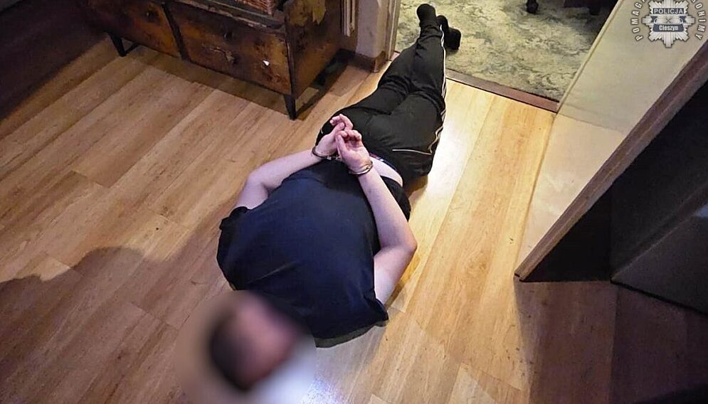 Nozownik zebrzydowice