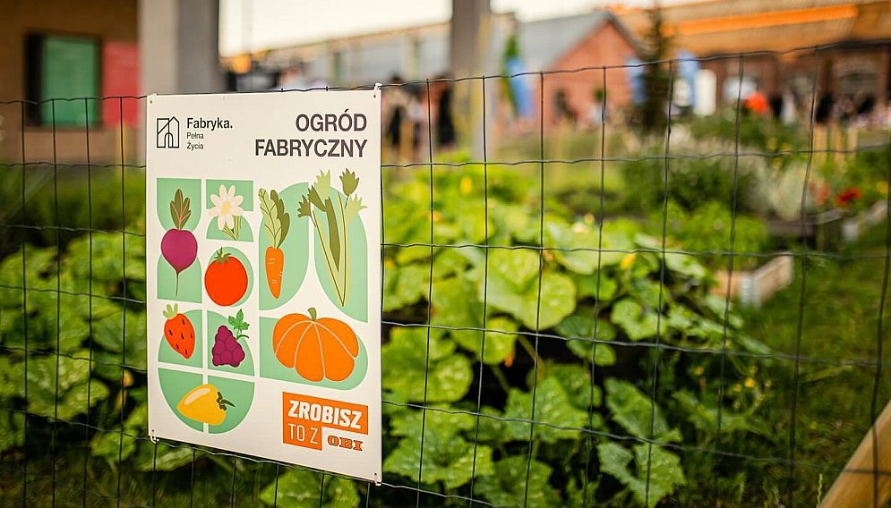 Ogród fabryczny stworzony w Dąbrowie Górniczej na terenie Fabryki Pełnej Życia